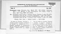 Image Associated With the Occurence